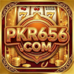 pkr656 app
