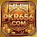 pkr656 app